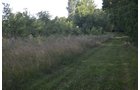 Property photo 21 - REAL ESTATE AUCTION - 26+/- ACRES IN 3 TRACTS IN SOUTHWEST ALLEN COUNTY, INDIANA